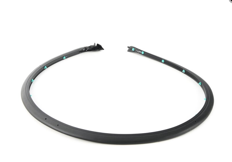 Left Rear Door Belt Moulding for 2020-2021 VW Golf (5GM 839 699 D)