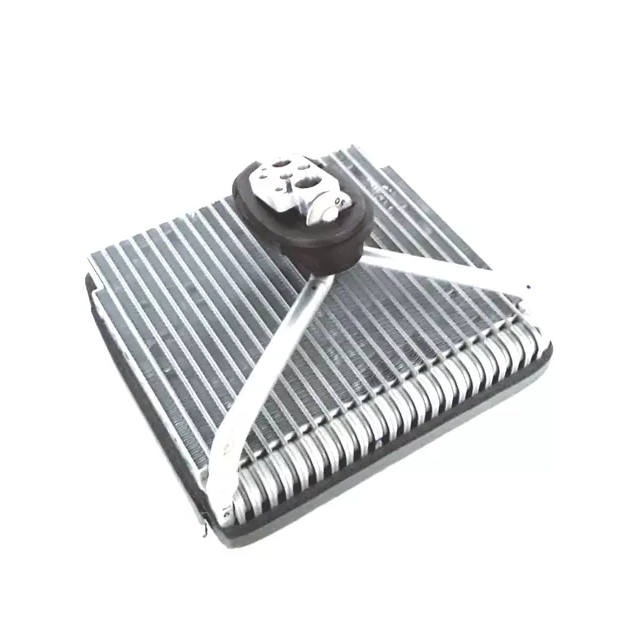 Evaporator for 2017-2019 VW Beetle, 2018-2021 Passat (561 81 6103)