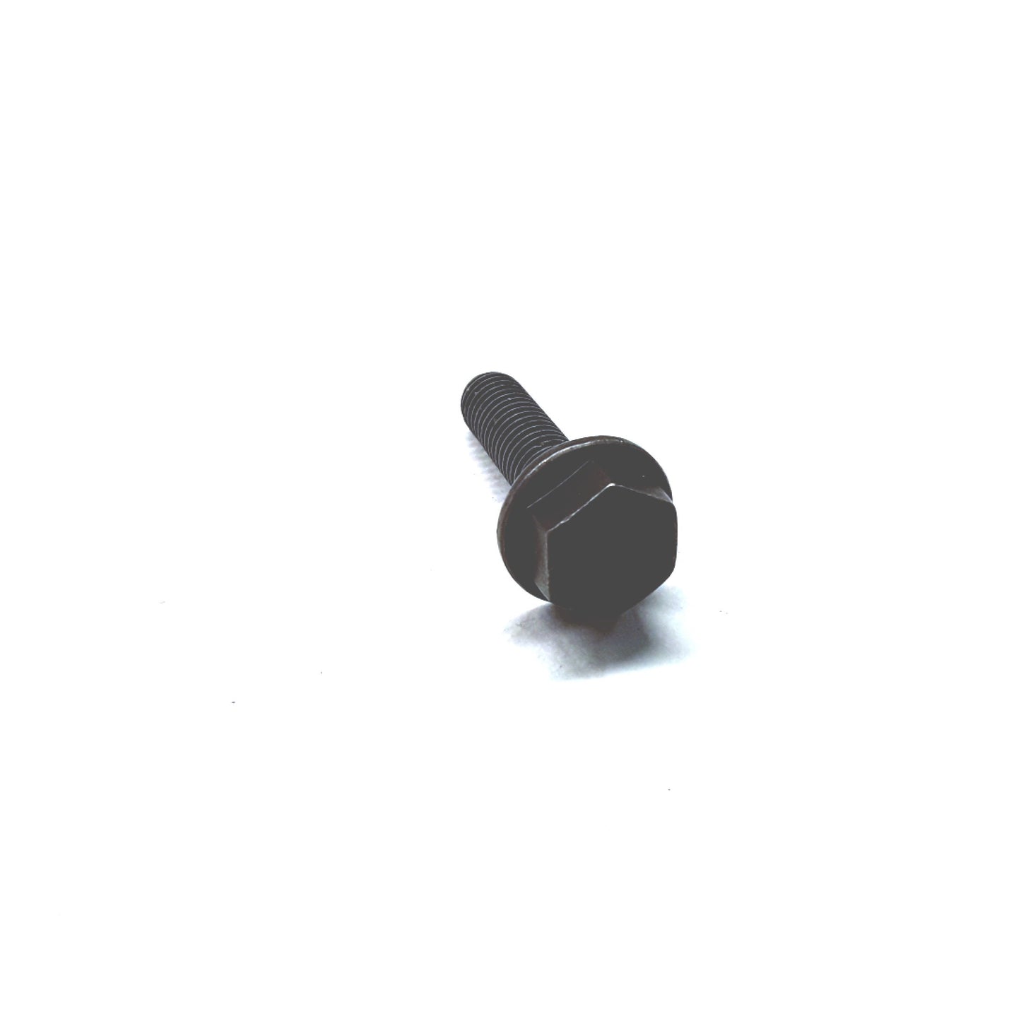 Bolt wht008385
